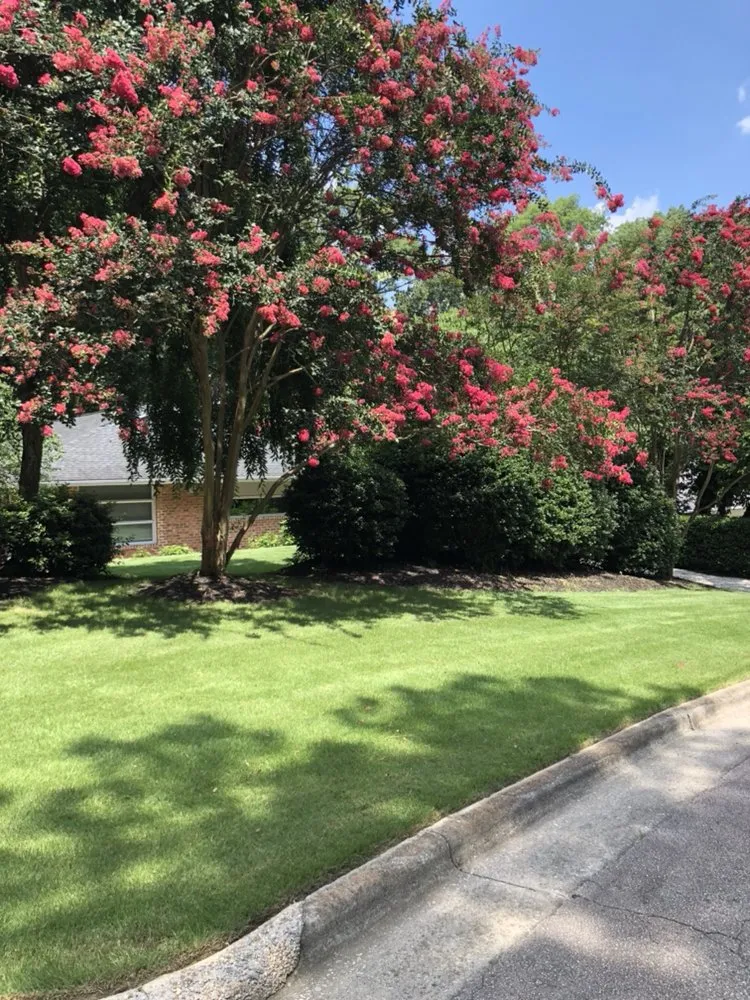 Reliable lawn care service for homes in Franklinton, NC by Distinct Lawns