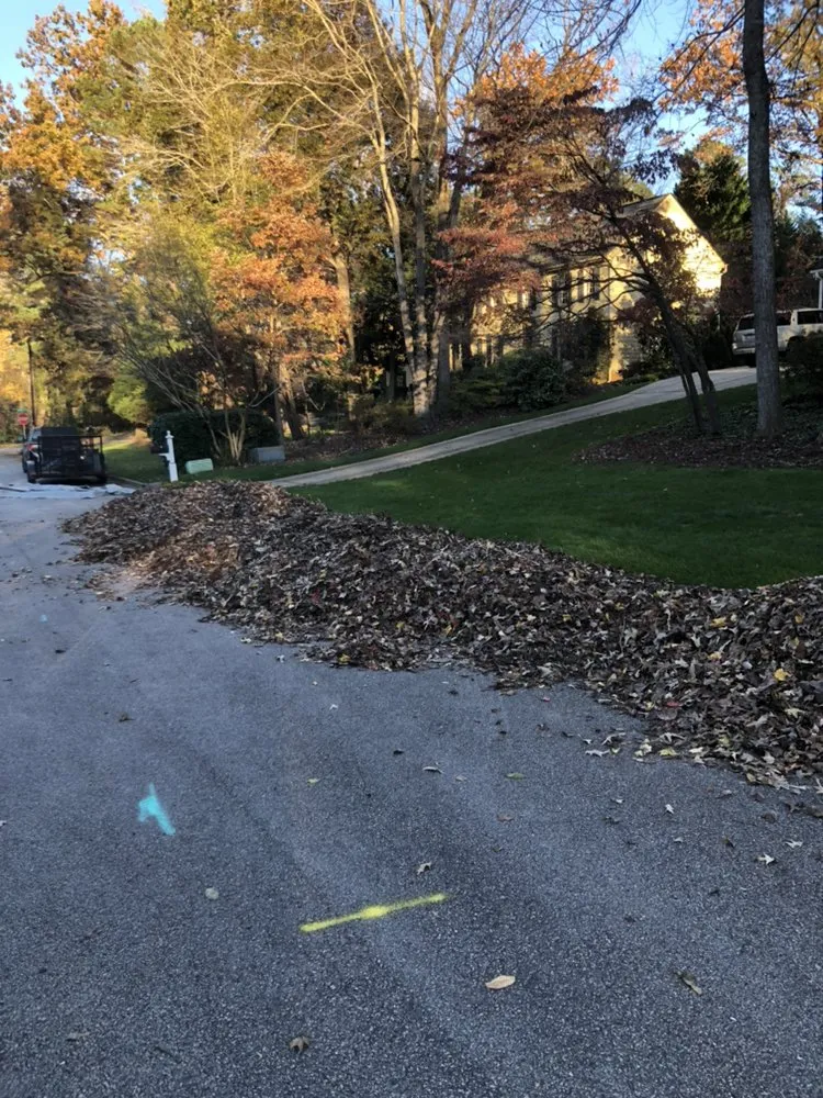 Top-rated landscape design experts serving Franklinton, NC - Distinct Lawns