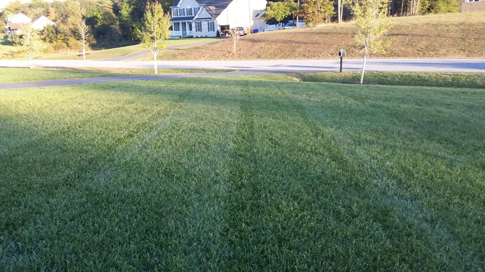 Reliable lawn care service experts serving Charlotte Hall, MD - Distinct Lawnscapes