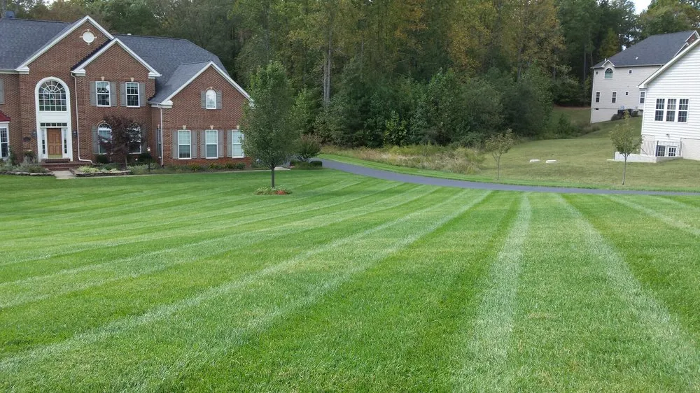 Trusted landscape installation for year-round maintenance across Charlotte Hall, MD - Distinct Lawnscapes