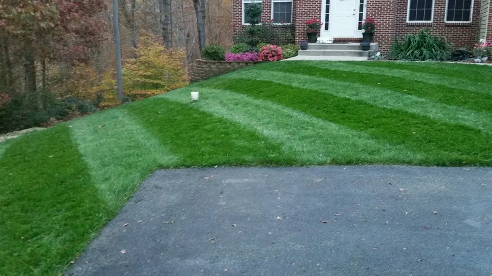 Top-rated landscape installation for homes across Charlotte Hall, MD - Distinct Lawnscapes