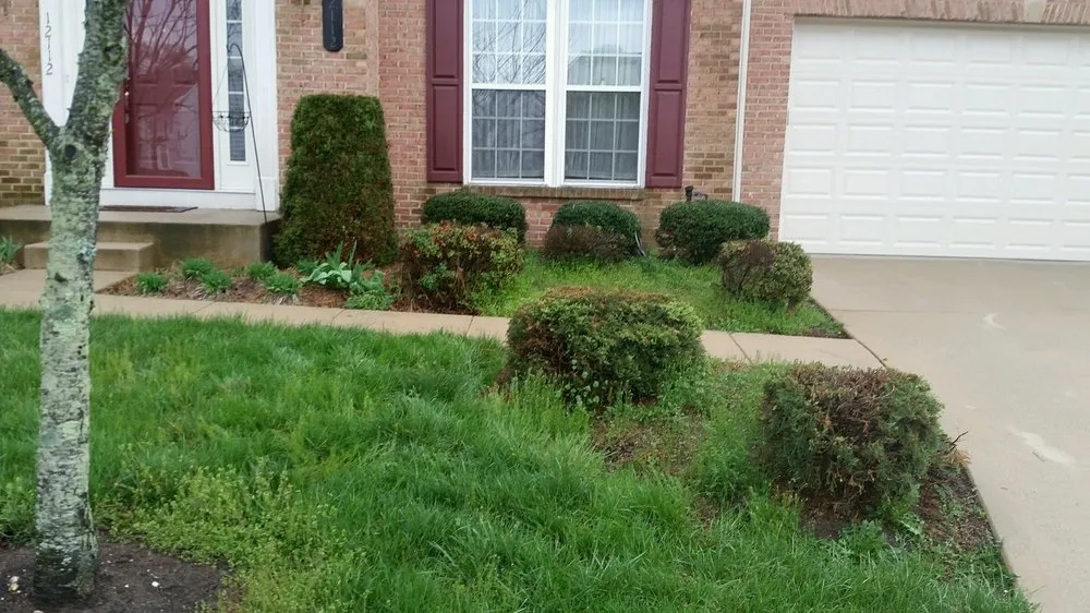 Custom yard cleanup service in Charlotte Hall, MD by Distinct Lawnscapes