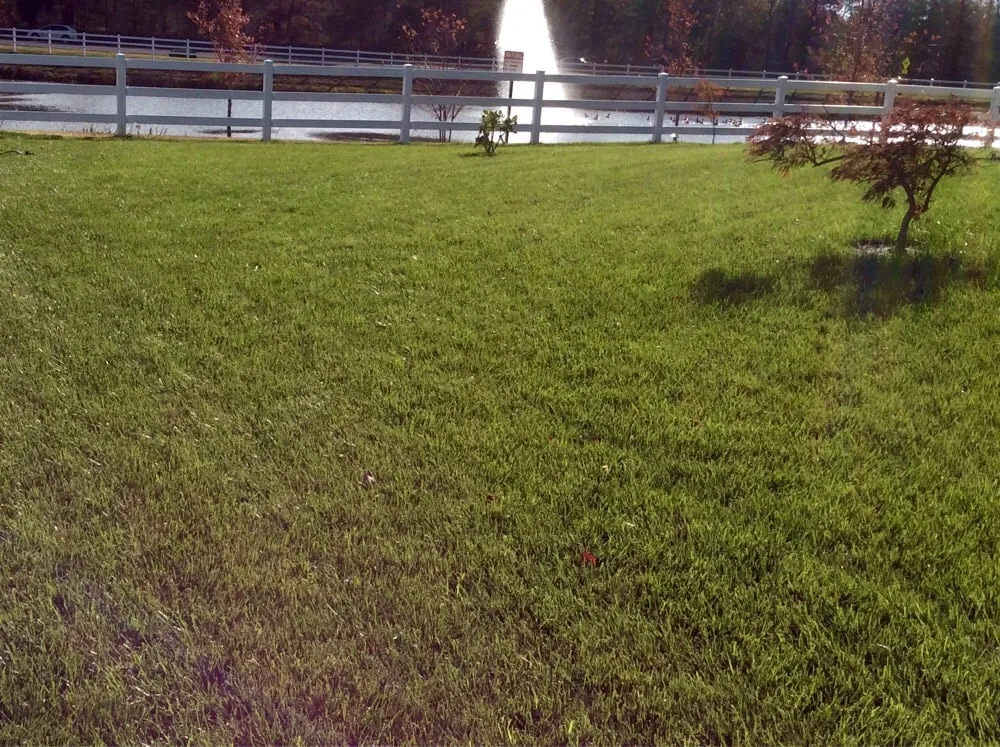 Professional landscape design experts serving Charlotte Hall, MD - Distinct Lawnscapes