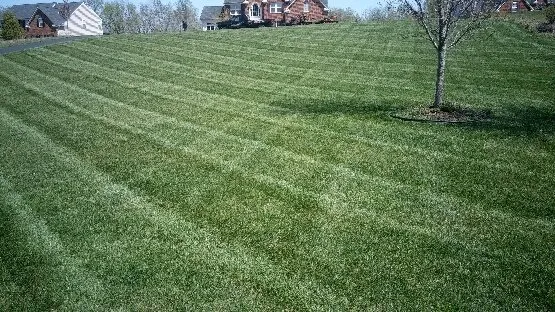 Professional landscape installation in Charlotte Hall, MD - Distinct Lawnscapes