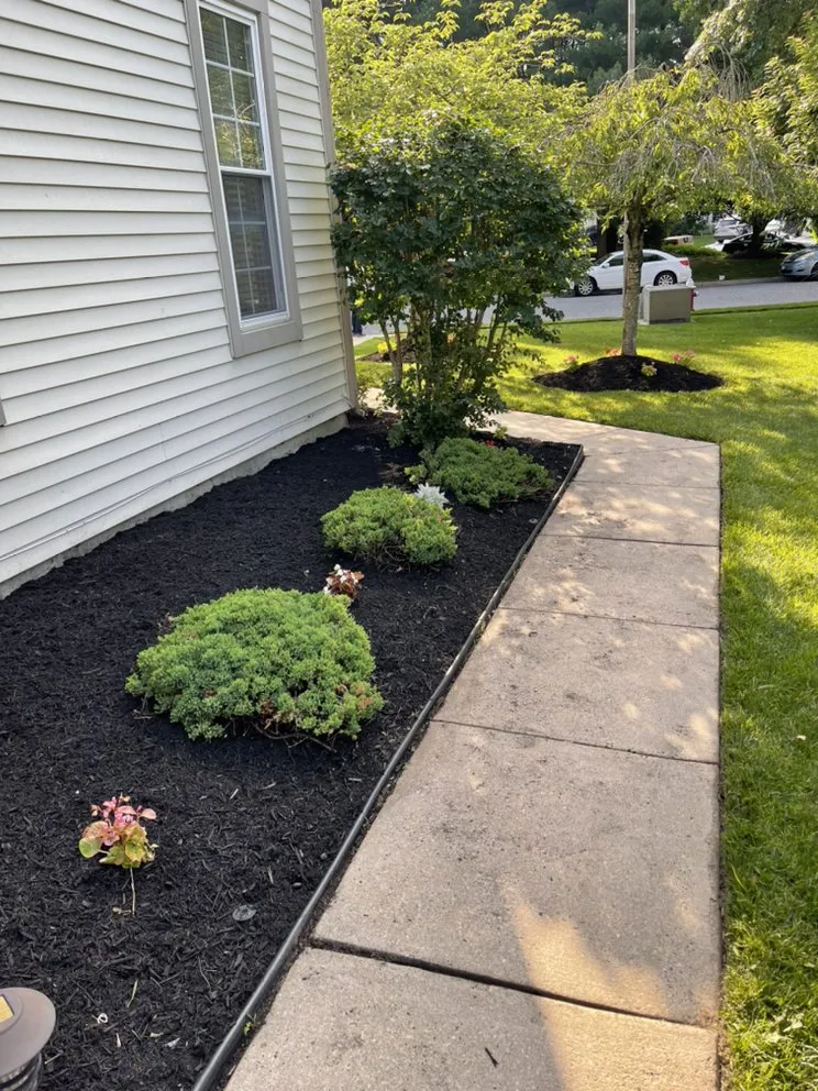 Top-rated outdoor landscaping in Evesham, NJ by Distinct Surroundings