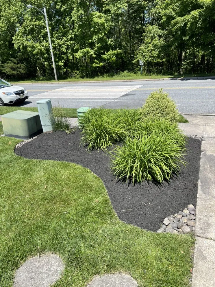 Custom yard cleanup service in Evesham, NJ by Distinct Surroundings