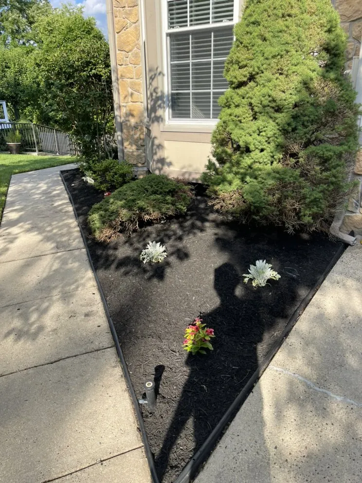 Local outdoor landscaping with custom design across Evesham, NJ - Distinct Surroundings