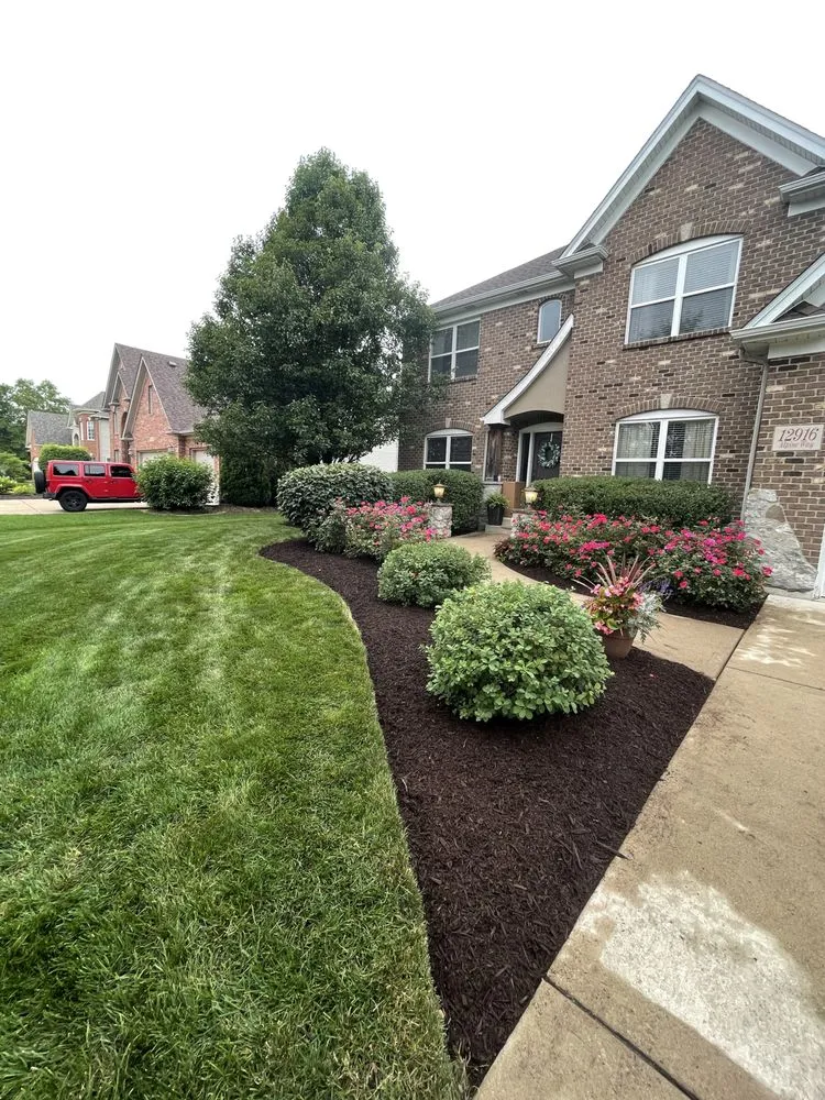 Top-rated yard cleanup service for outdoor upgrades in Plainfield, IL by Distinctive Concepts Lawn & Landscape