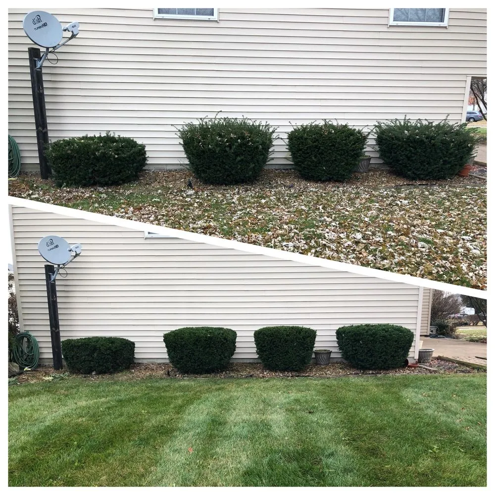 Trusted yard cleanup service in Plainfield, IL by Distinctive Concepts Lawn & Landscape