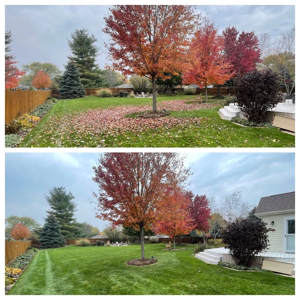 Affordable landscape design experts serving Plainfield, IL - Distinctive Concepts Lawn & Landscape