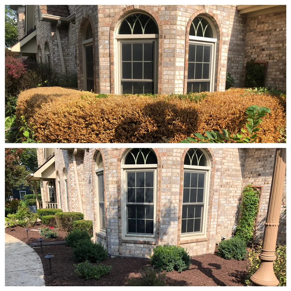 Expert yard cleanup service in Plainfield, IL by Distinctive Concepts Lawn & Landscape