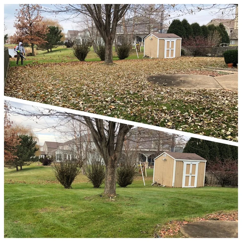 Reliable yard cleanup service in Plainfield, IL by Distinctive Concepts Lawn & Landscape