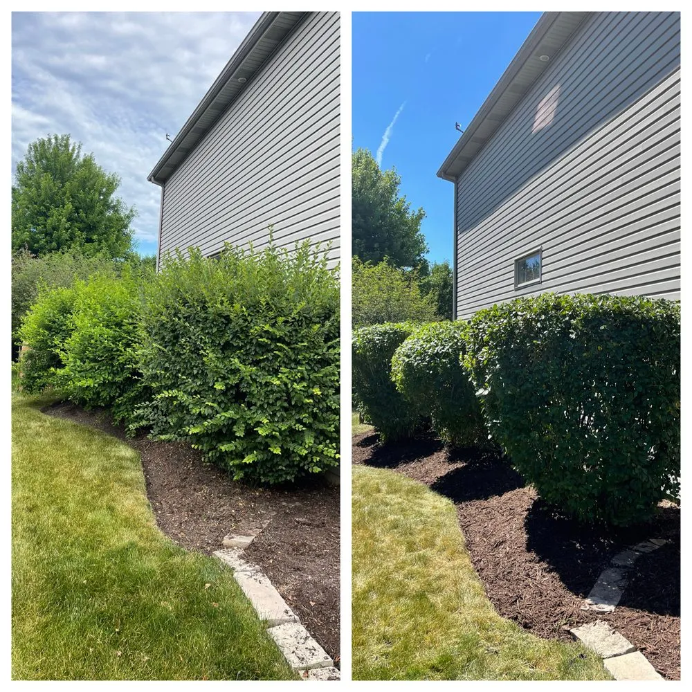 Top-rated residential landscaping for year-round maintenance across Plainfield, IL - Distinctive Concepts Lawn & Landscape