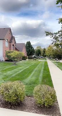 Distinctive Concepts Lawn & Landscape Logo