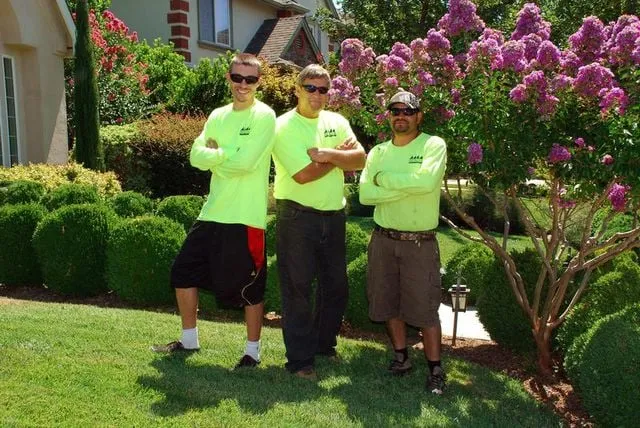 Local residential landscaping experts serving Chico, CA - Distinctive Landscape & Maintenance