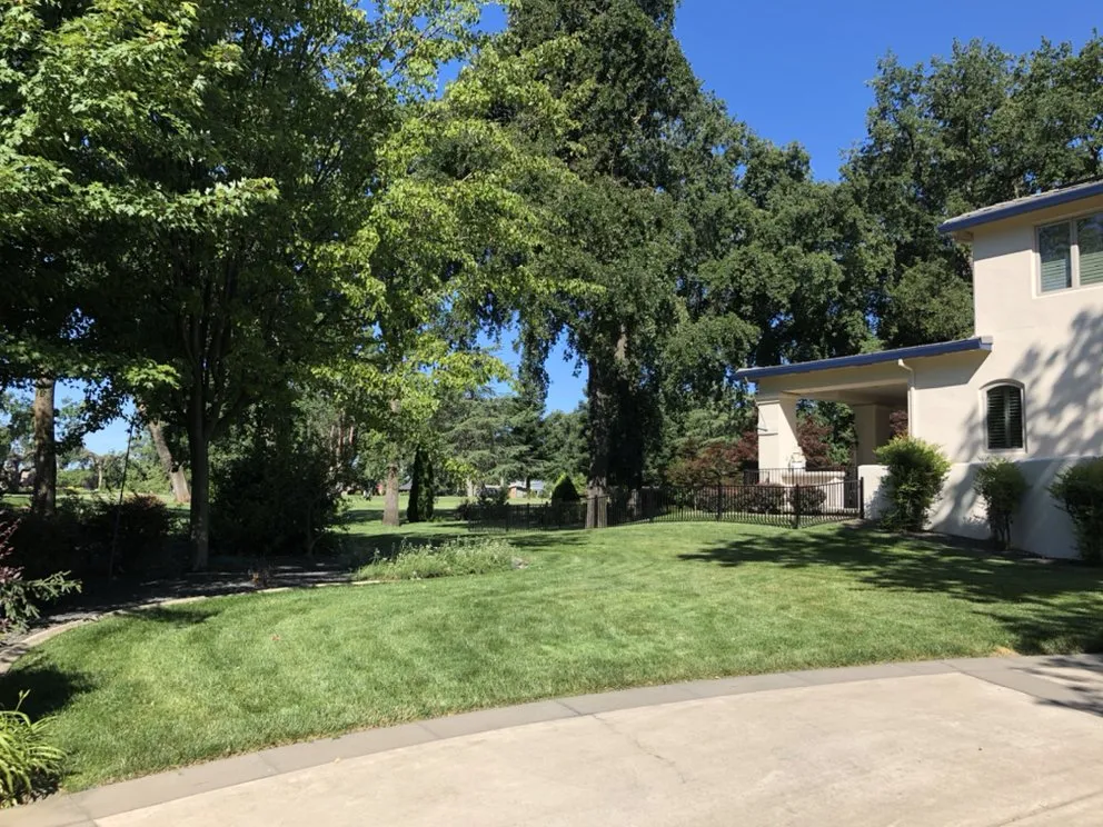 Local landscape design for outdoor upgrades across Chico, CA - Distinctive Landscape & Maintenance