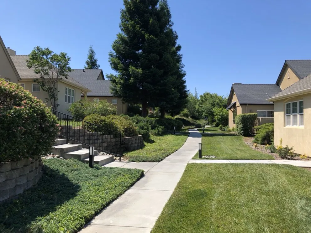 Professional landscaping services for beautiful yards in Chico, CA by Distinctive Landscape & Maintenance