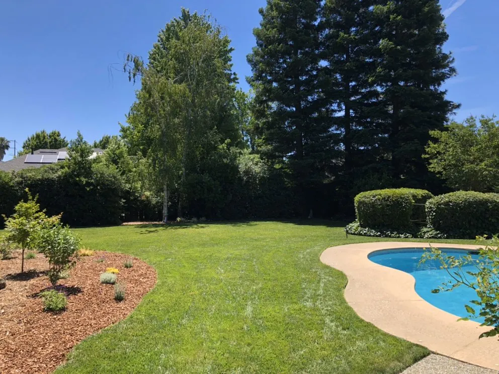 Top-rated yard cleanup service for beautiful yards across Chico, CA - Distinctive Landscape & Maintenance