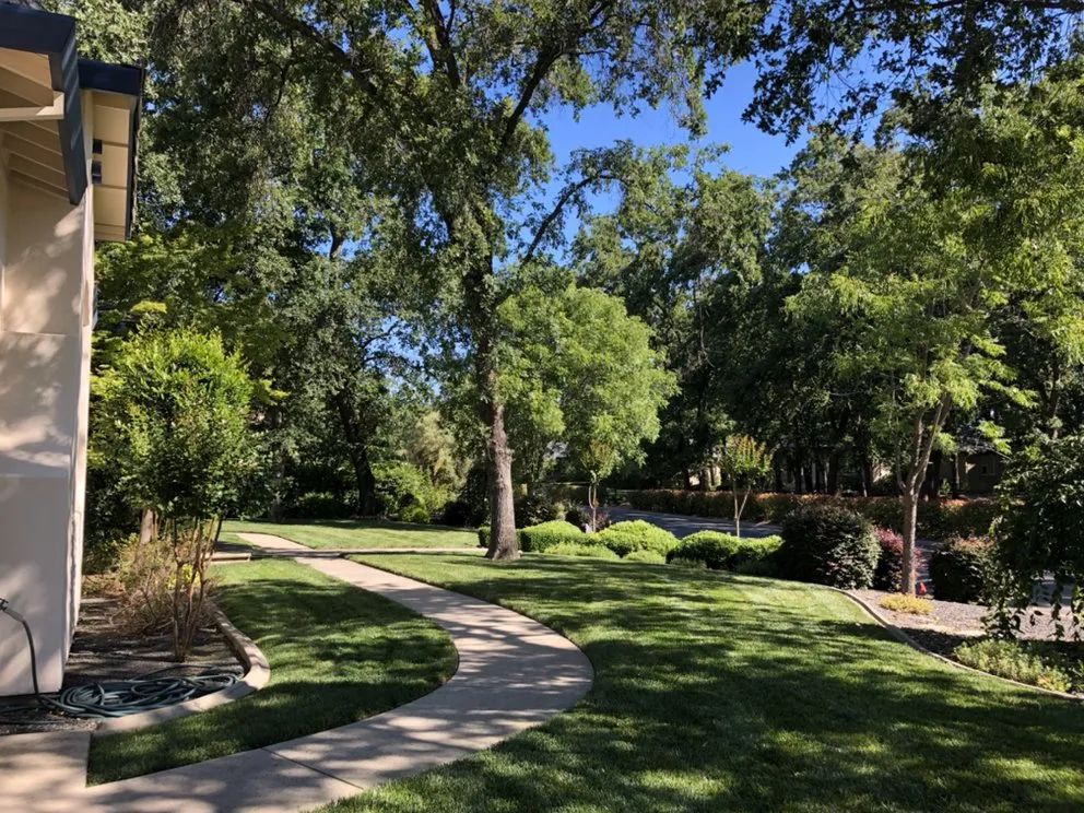 Reliable landscape design in Chico, CA by Distinctive Landscape & Maintenance