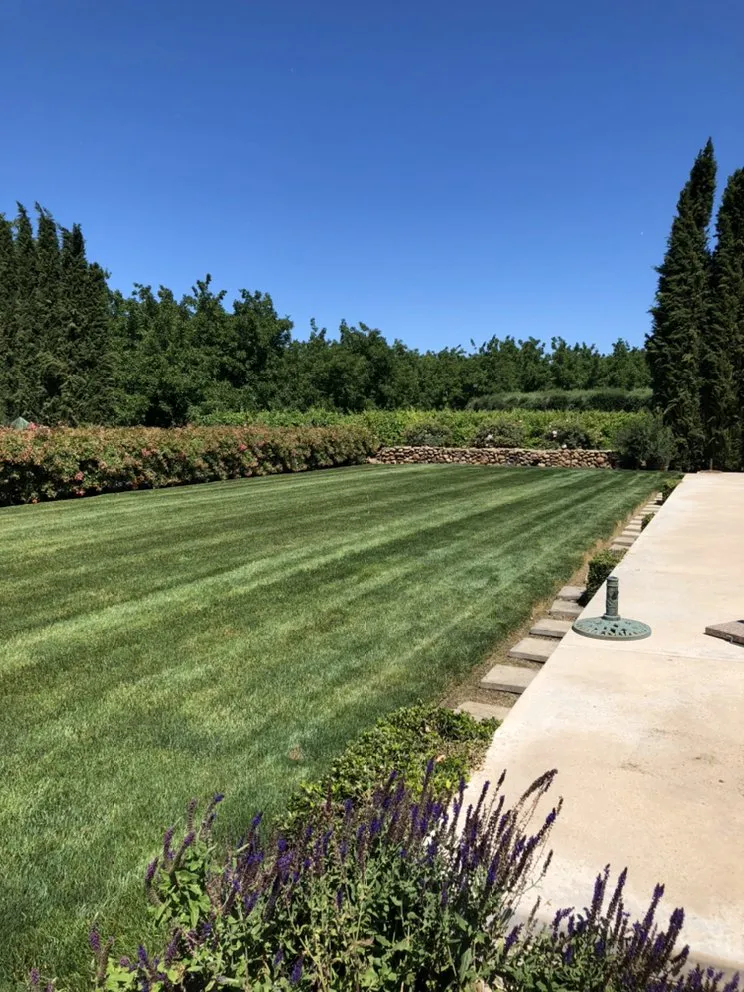 Custom lawn mowing service in Chico, CA by Distinctive Landscape & Maintenance