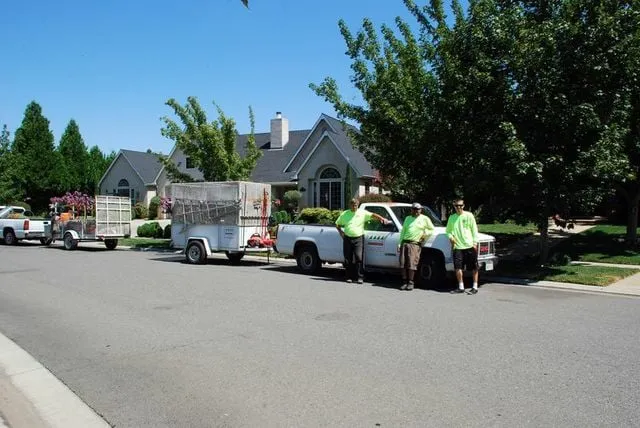 Local yard cleanup service for residential properties in Chico, CA by Distinctive Landscape & Maintenance