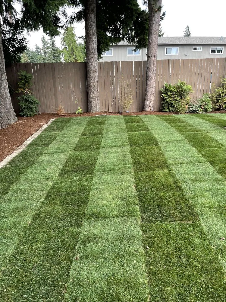 Custom lawn mowing service experts serving Kent, WA - Distinctive Landscape