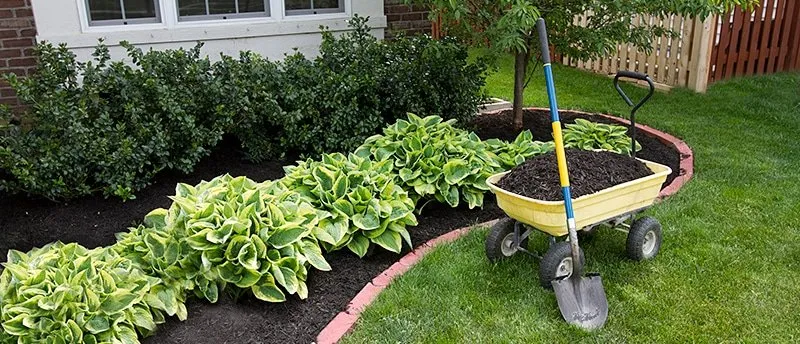 Top-rated yard cleanup service for beautiful yards across Kent, WA - Distinctive Landscape