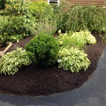Professional yard cleanup service with custom design in Kent, WA by Distinctive Landscape