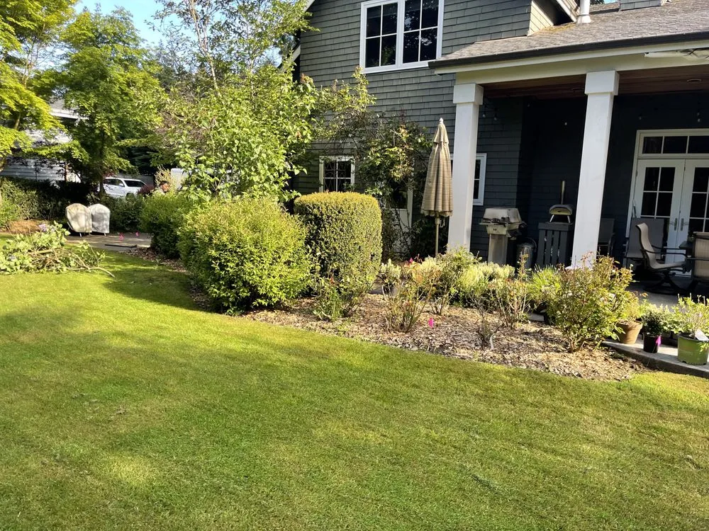 Affordable lawn mowing service for outdoor upgrades in Kent, WA by Distinctive Landscape