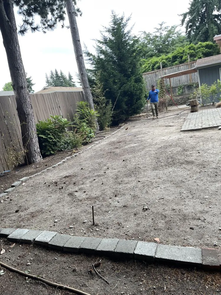Top-rated yard cleanup service with custom design across Kent, WA - Distinctive Landscape