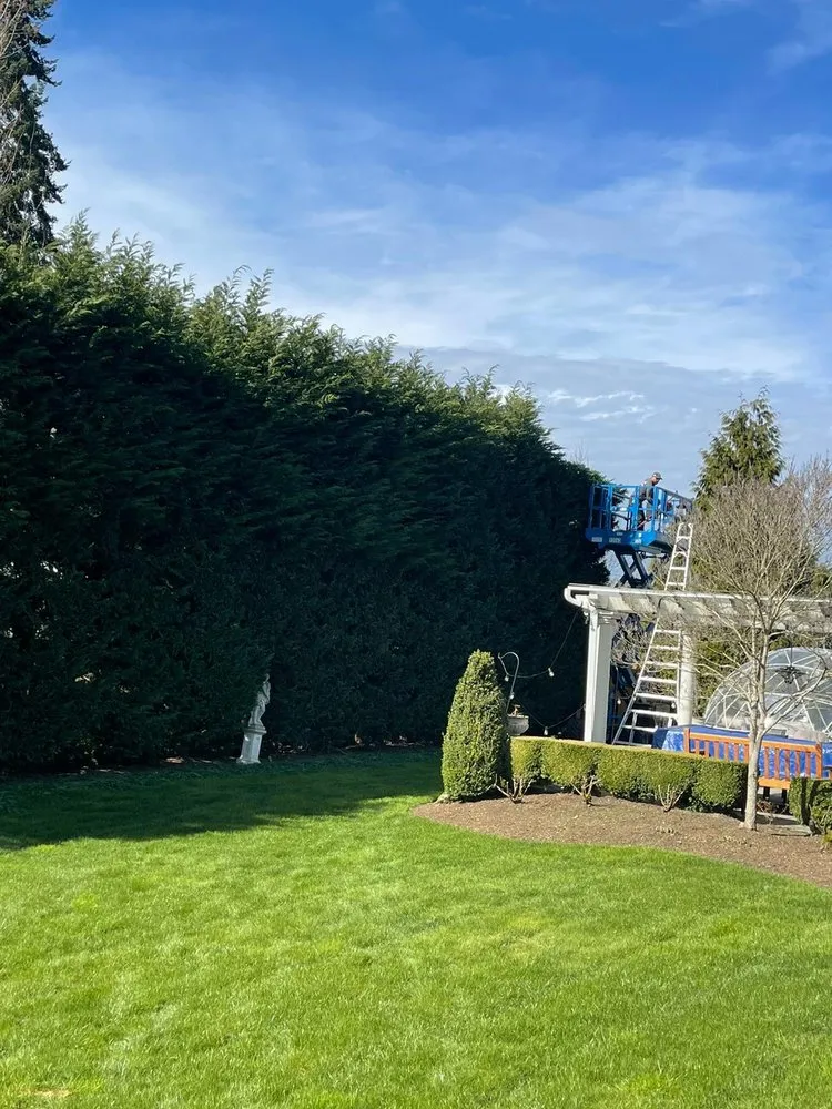 Trusted landscaping services in Kent, WA - Distinctive Landscape
