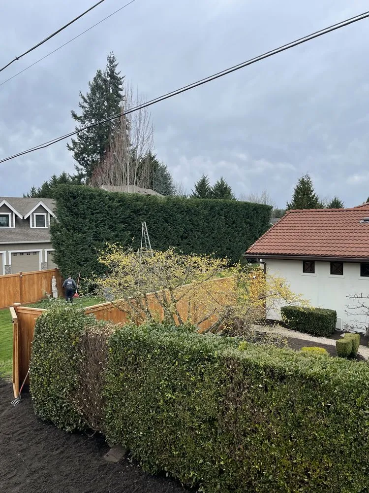 Top-rated outdoor landscaping experts serving Kent, WA - Distinctive Landscape