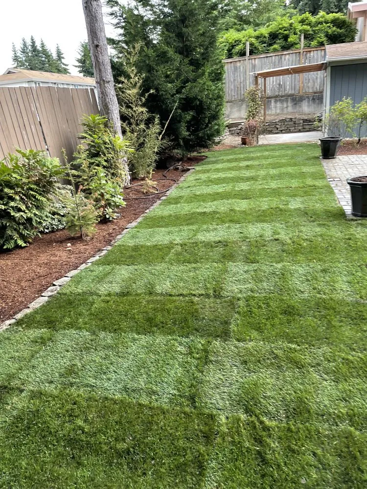 Affordable landscape installation experts serving Kent, WA - Distinctive Landscape