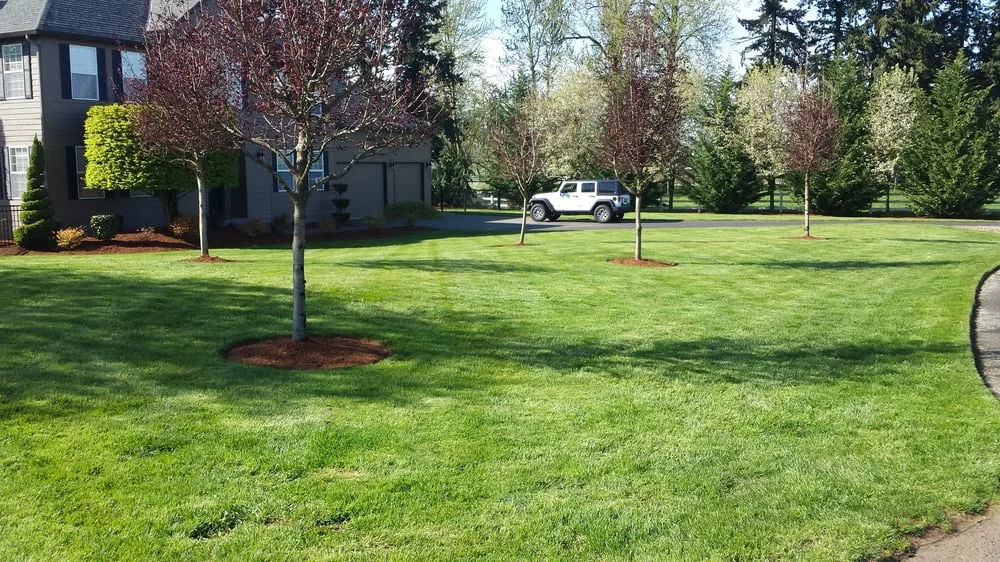 Reliable residential landscaping in Vancouver, WA by Distinctive Landscape
