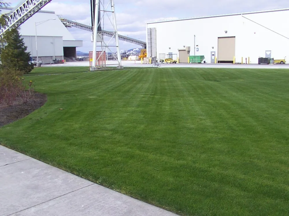 Custom lawn care service with custom design in Vancouver, WA by Distinctive Landscape