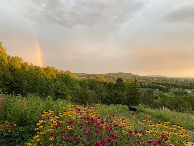 Affordable garden landscaping with custom design across Charlotte, VT - Distinctive Landscaping