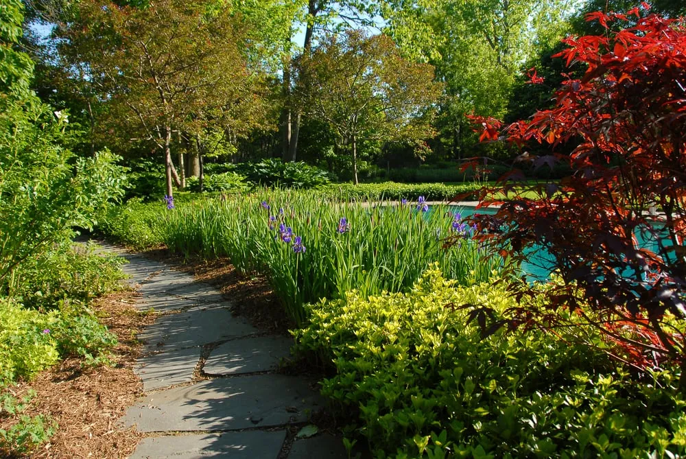 Affordable landscaping services experts serving Charlotte, VT - Distinctive Landscaping