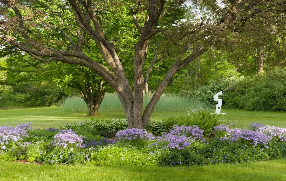 Top-rated landscape installation for beautiful yards across Charlotte, VT - Distinctive Landscaping