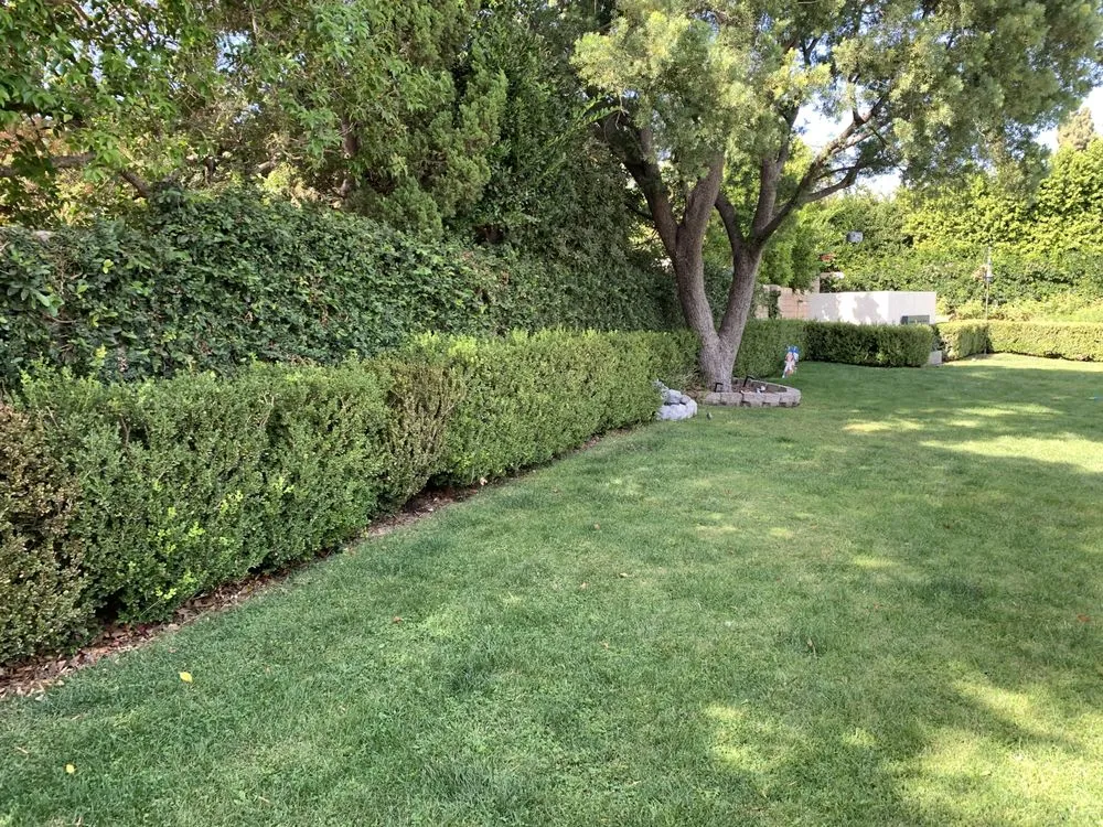 Reliable lawn mowing service in West Hills, CA - Distinctive Landscaping Services, Inc.