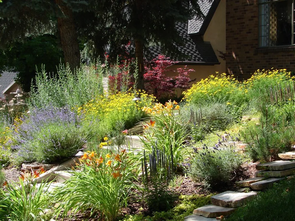 Reliable lawn care service for residential properties in West Hills, CA by Distinctive Landscaping Services, Inc.