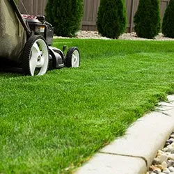 Custom landscape installation for year-round maintenance in Chatfield, MN by Distinctive Lawn & Landscape