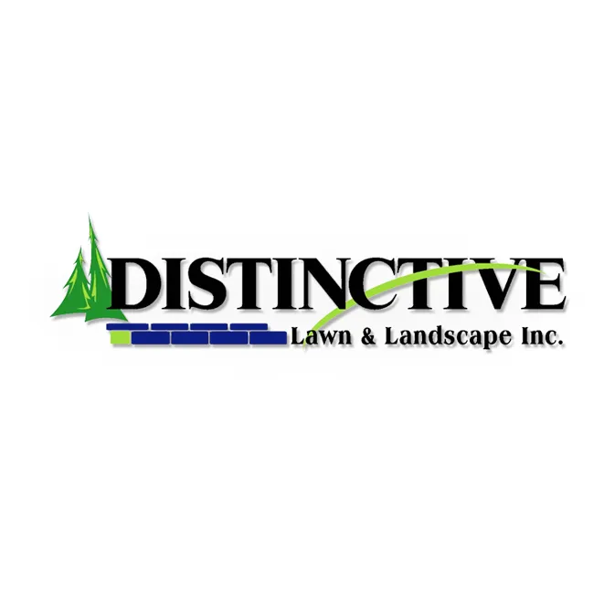 Local yard cleanup service in Chatfield, MN by Distinctive Lawn & Landscape