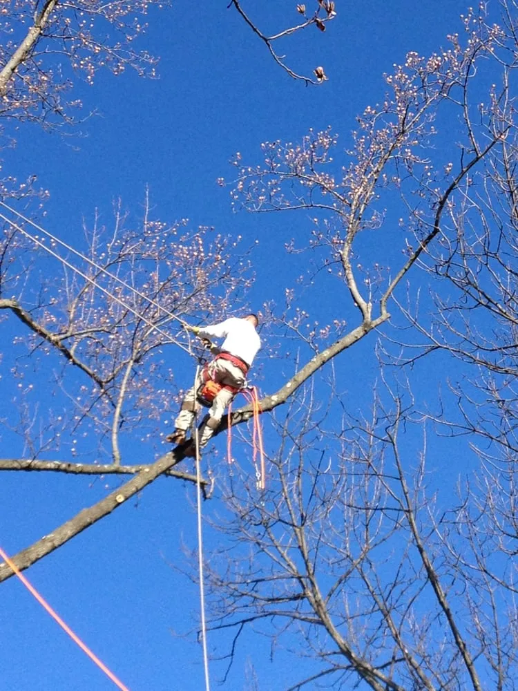 Local landscape design in Columbus, OH by Distinctive Lawn And Landscape