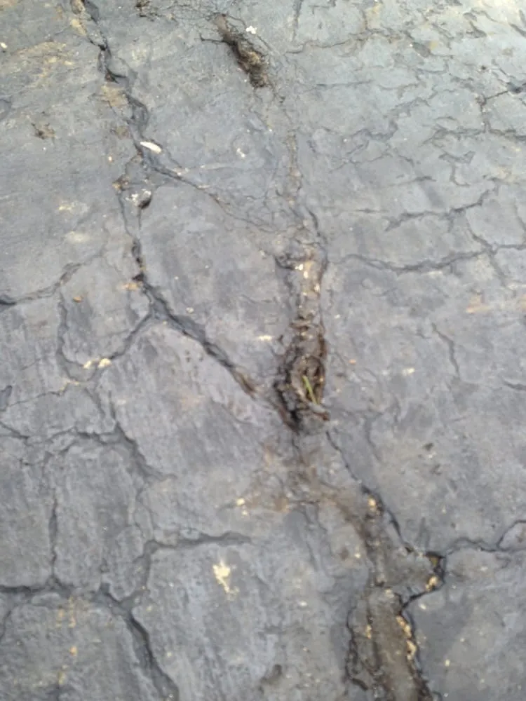 Custom lawn mowing service in Columbus, OH by Distinctive Lawn And Landscape