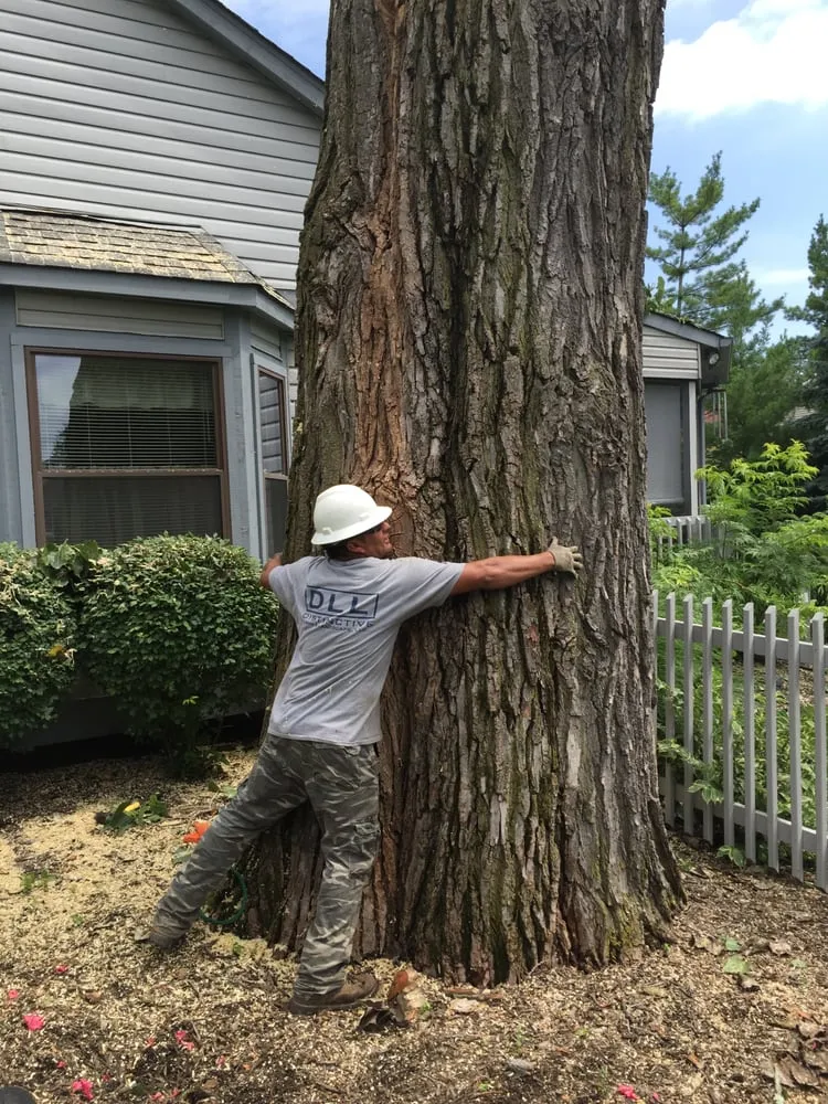 Affordable landscape design for outdoor upgrades across Columbus, OH - Distinctive Lawn And Landscape