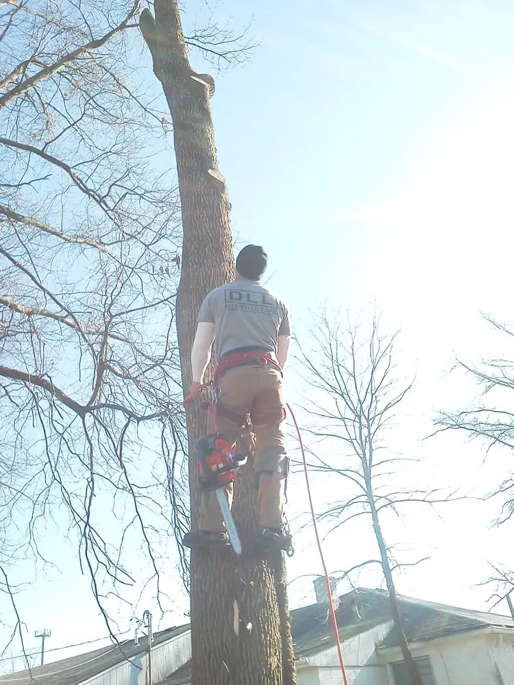 Local outdoor landscaping with custom design in Columbus, OH by Distinctive Lawn And Landscape