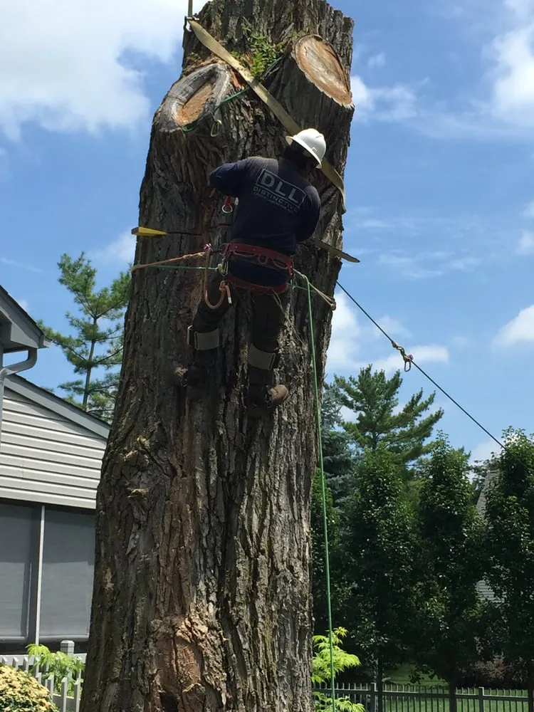 Affordable yard maintenance for beautiful yards across Columbus, OH - Distinctive Lawn And Landscape