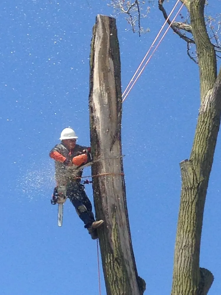 Top-rated residential landscaping for homes in Columbus, OH by Distinctive Lawn And Landscape