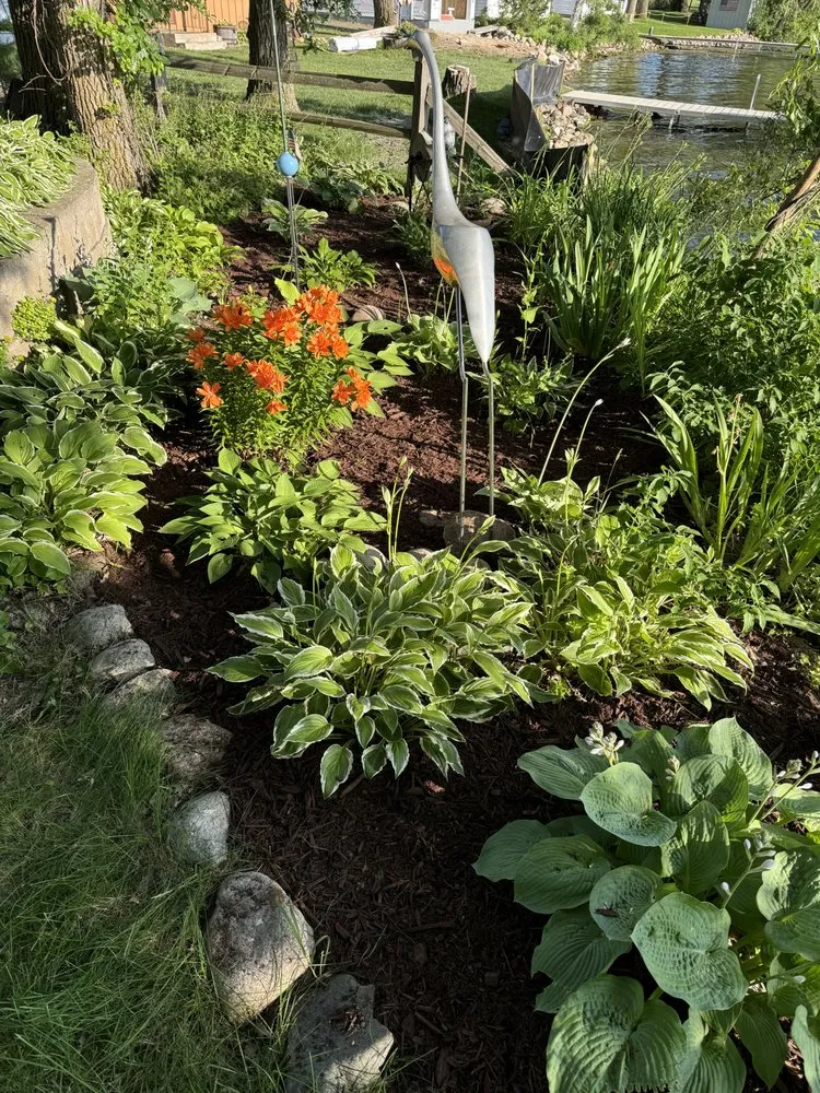 Affordable landscape design near you in Flensburg, MN by Distinctive Tree Experts