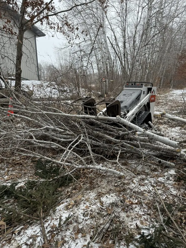 Expert landscape installation in Flensburg, MN by Distinctive Tree Experts